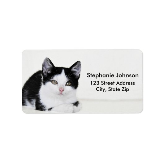 Étiquettes d'adresse de chaton pensif noir et blan (Devant)