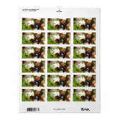 Étiquettes d'adresse de chiot boxer dans les tulip (Feuille entière)