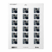 Étiquettes d'adresse de retour  (Feuille entière)