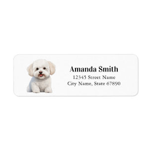 Étiquettes d'adresse de retour Bichon Frise