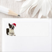 Étiquettes d'adresse de retour Boston Terrier (En situation)