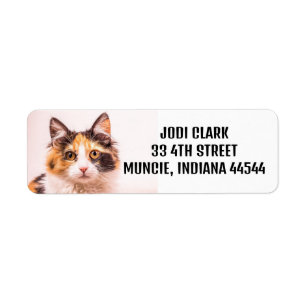 ÉTIQUETTES D'ADRESSE DE RETOUR CALICO CAT