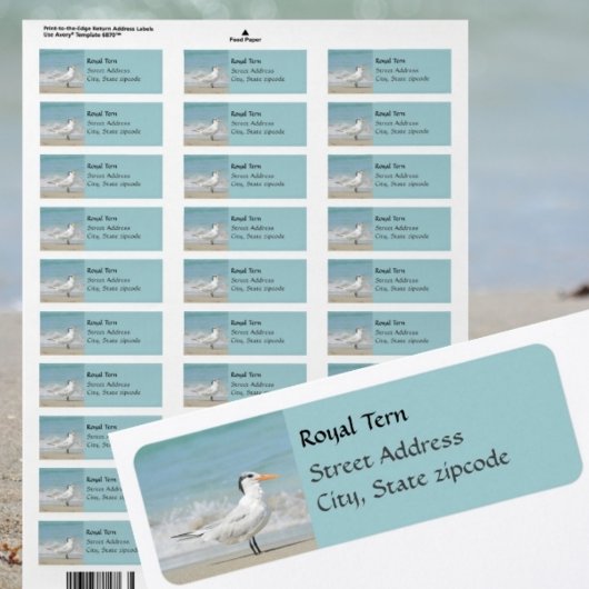 Étiquettes d'adresse de retour côtière Royal Tern