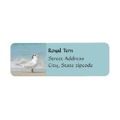 Étiquettes d'adresse de retour côtière Royal Tern (Devant)