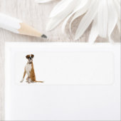 Étiquettes d'adresse de retour de boîte (En situation)