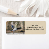 Étiquettes d'adresse de retour de canard Mallard (En situation)