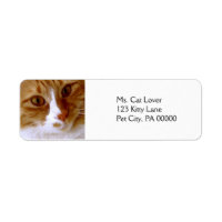 Étiquettes d'adresse de retour de chat