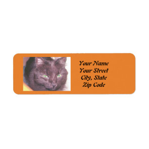 Étiquettes d'adresse de retour de chat noir