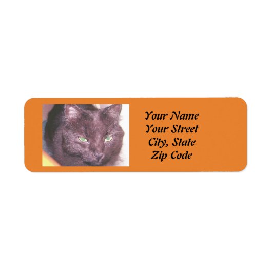 Étiquettes d'adresse de retour de chat noir (Devant)