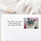 Étiquettes d'adresse de retour de chat pour animau (En situation)