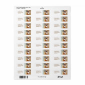 Étiquettes d'adresse de retour de chien de boîte p (Feuille entière)