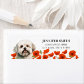 Étiquettes d'adresse de retour de chien maltais (En situation)