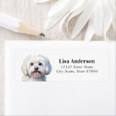 Étiquettes d'adresse de retour de chien maltais (En situation)