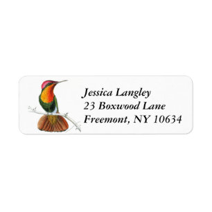 Étiquettes d'adresse de retour de colibri vintage