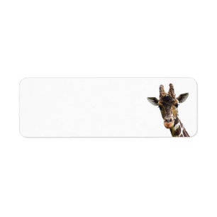 Étiquettes d'adresse de retour de girafe en tête