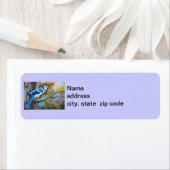 Étiquettes d'adresse de retour de Jay bleu (En situation)