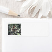 Étiquettes d'adresse de retour de l'écureuil rouge (En situation)