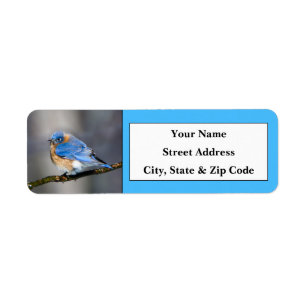 Étiquettes d'adresse de retour de l'oiseau bleu de
