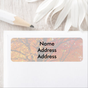 Étiquettes d'adresse de retour de lumière de l'aut