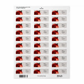 Étiquettes d'adresse de retour de Noël ou Favorise (Feuille entière)