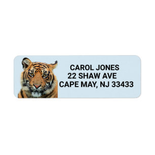 ÉTIQUETTES D'ADRESSE DE RETOUR DE TIGRE DU BENGALE