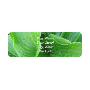 Étiquettes d'adresse de retour des Feuilles Hosta