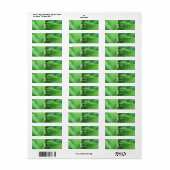 Étiquettes d'adresse de retour des Feuilles Hosta (Feuille entière)