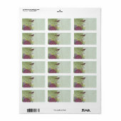 Étiquettes d'adresse de retour d'oiseaux de Noël - (Feuille entière)