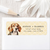 Étiquettes d'adresse de retour du beagle (En situation)