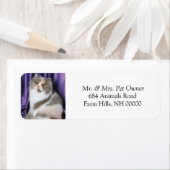 Étiquettes d'adresse de retour du chat Stickers (En situation)