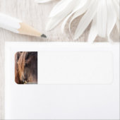 Étiquettes d'adresse de retour du cheval (En situation)