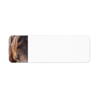 Étiquettes d'adresse de retour du cheval