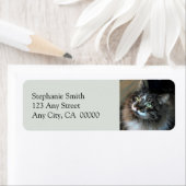 Étiquettes d'adresse de retour irrésistible Cat Zo (En situation)