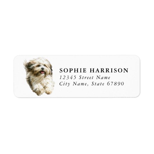Étiquettes d'adresse de retour Lhasa Apso (Devant)