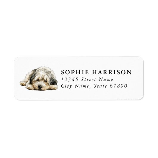 Étiquettes d'adresse de retour Lhasa Apso (Devant)