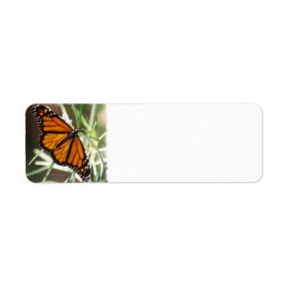 Étiquettes d'adresse de retour Monarch Butterfly