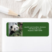 Étiquettes d'adresse de retour Panda, Vert (En situation)