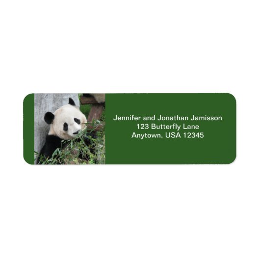 Étiquettes d'adresse de retour Panda, Vert (Devant)