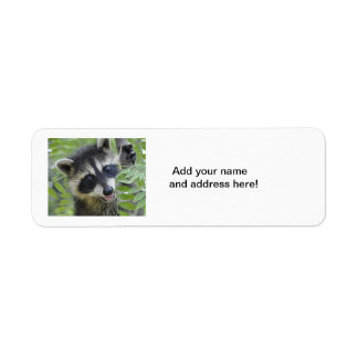 Étiquettes d'adresse de retour Raccoon