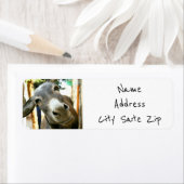 ÉTIQUETTES D'ADRESSE DE RETOUR "SILLY DONKEY" (En situation)