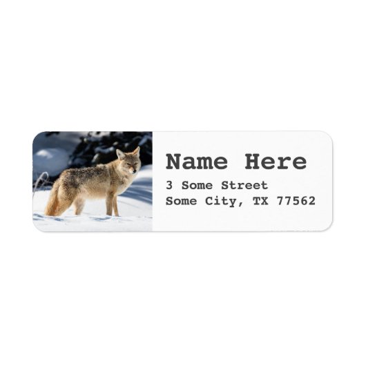 Étiquettes d'adresse de retour thème renard (Devant)