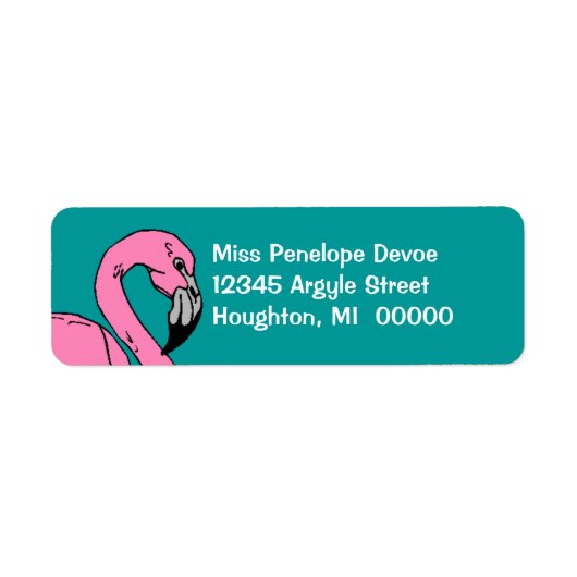 Étiquettes d'adresse de retour Turquoise du Flaman (Devant)
