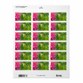 ÉTIQUETTES D'ADRESSE ÉLÉMENTS COOL ECO STYLE ESIGN (Feuille entière)