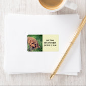 Étiquettes d'adresse Golden Doodle (En situation)