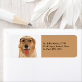 Étiquettes d'adresse pour chien Labrador Retriever (En situation)