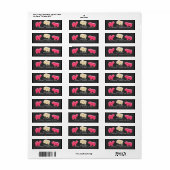 Étiquettes d'adresse pour fête de biscuits animaux (Feuille entière)
