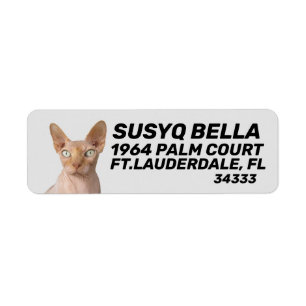 ÉTIQUETTES D'ADRESSE SPHYNX HAIRLESS CAT RETOUR