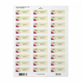 Étiquettes d'adresse Vintage Birds Musical Bright (Feuille entière)