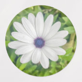 Étiquettes Daisy africain (Design 1)