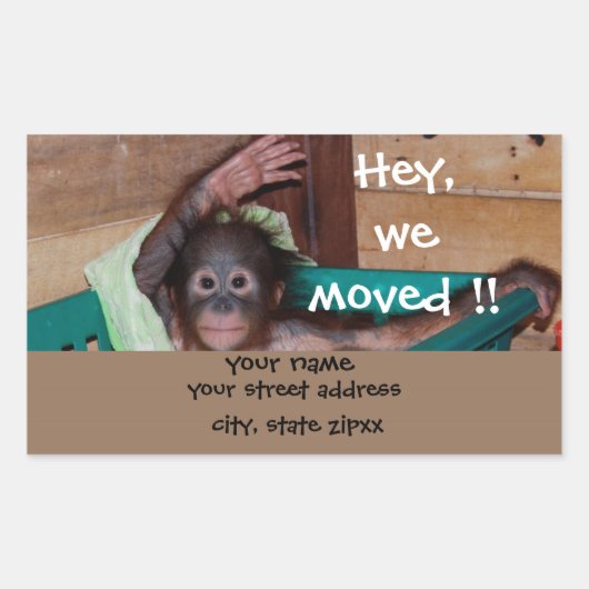 Étiquettes de adresse animaux mignons (Devant)